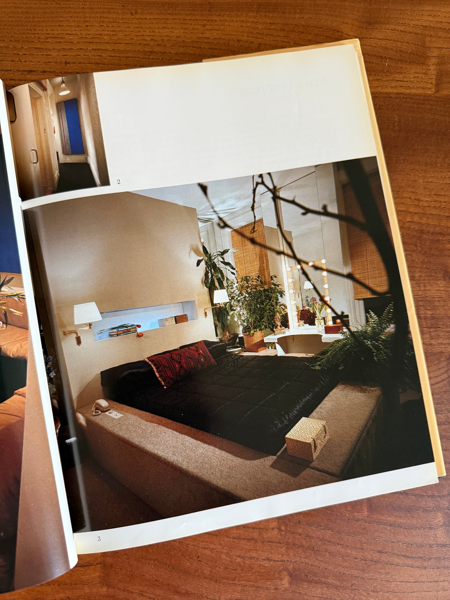 Interior Views: Design At Its Best, Brown, 1980