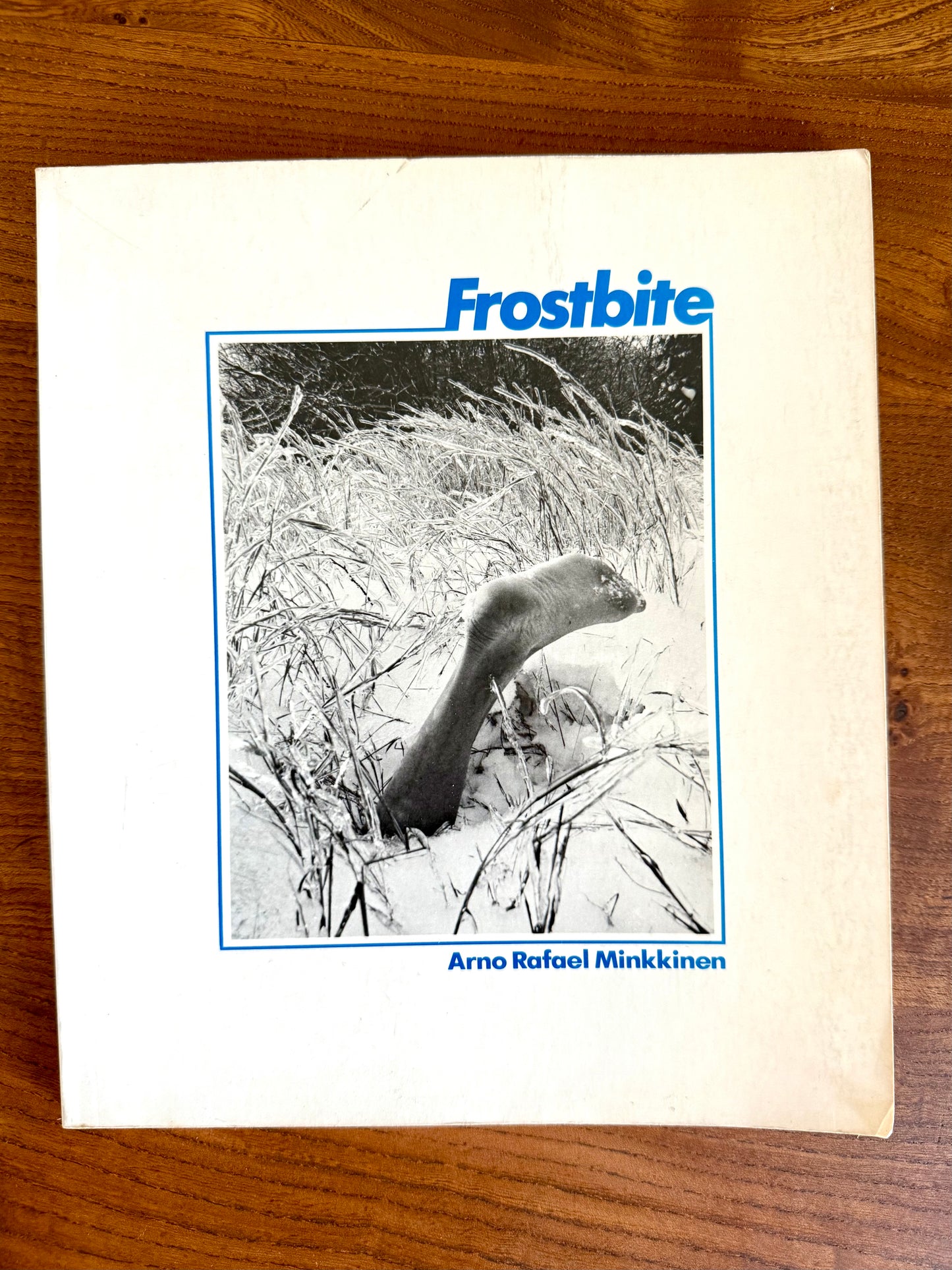 Frostbite, Minkkinen, 1980