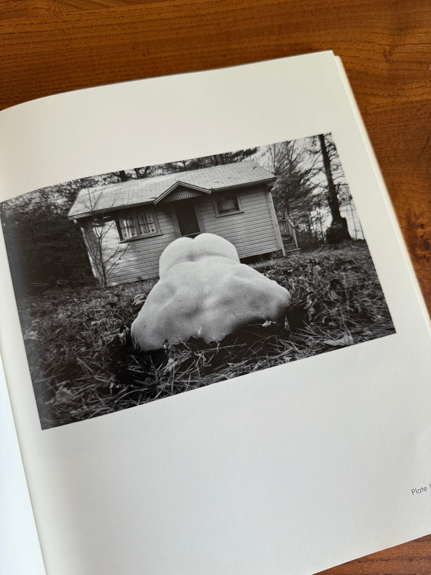 Frostbite, Minkkinen, 1980