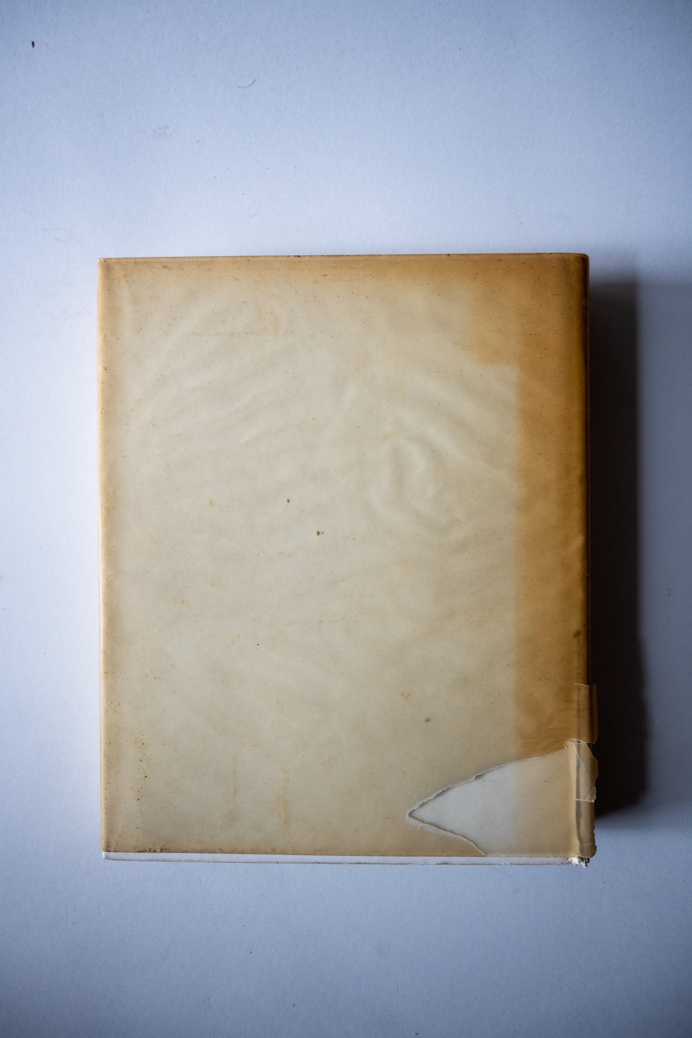 Italy: The New Domestic Landscape, Ambasz, 1972