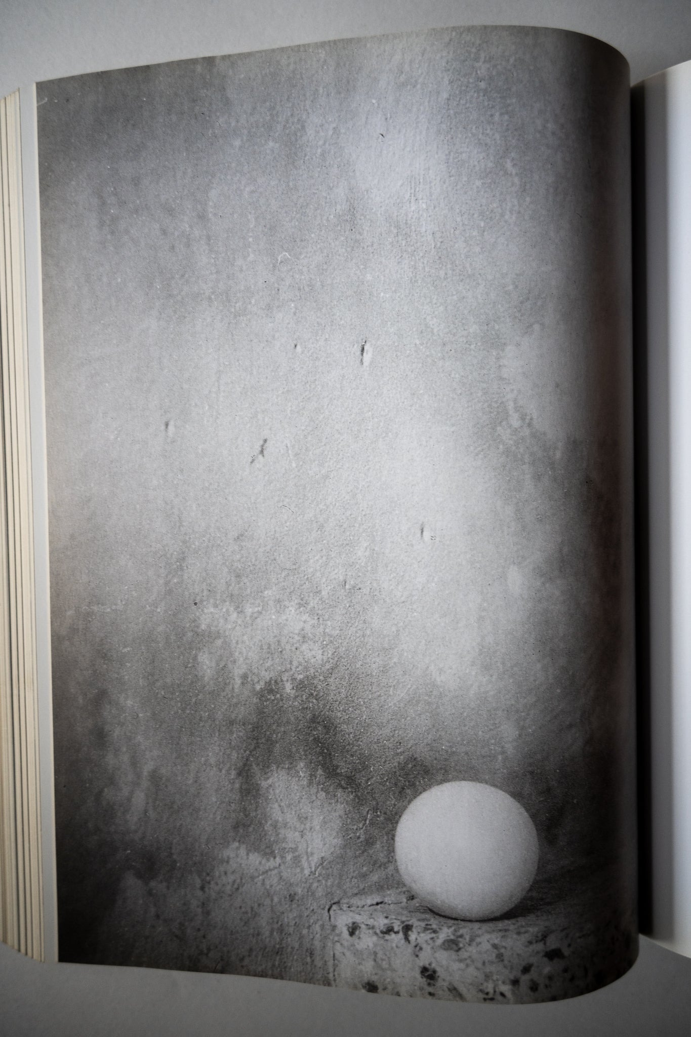 The Italian Metamorphosis, 1943-1968, Guggenheim, 1995