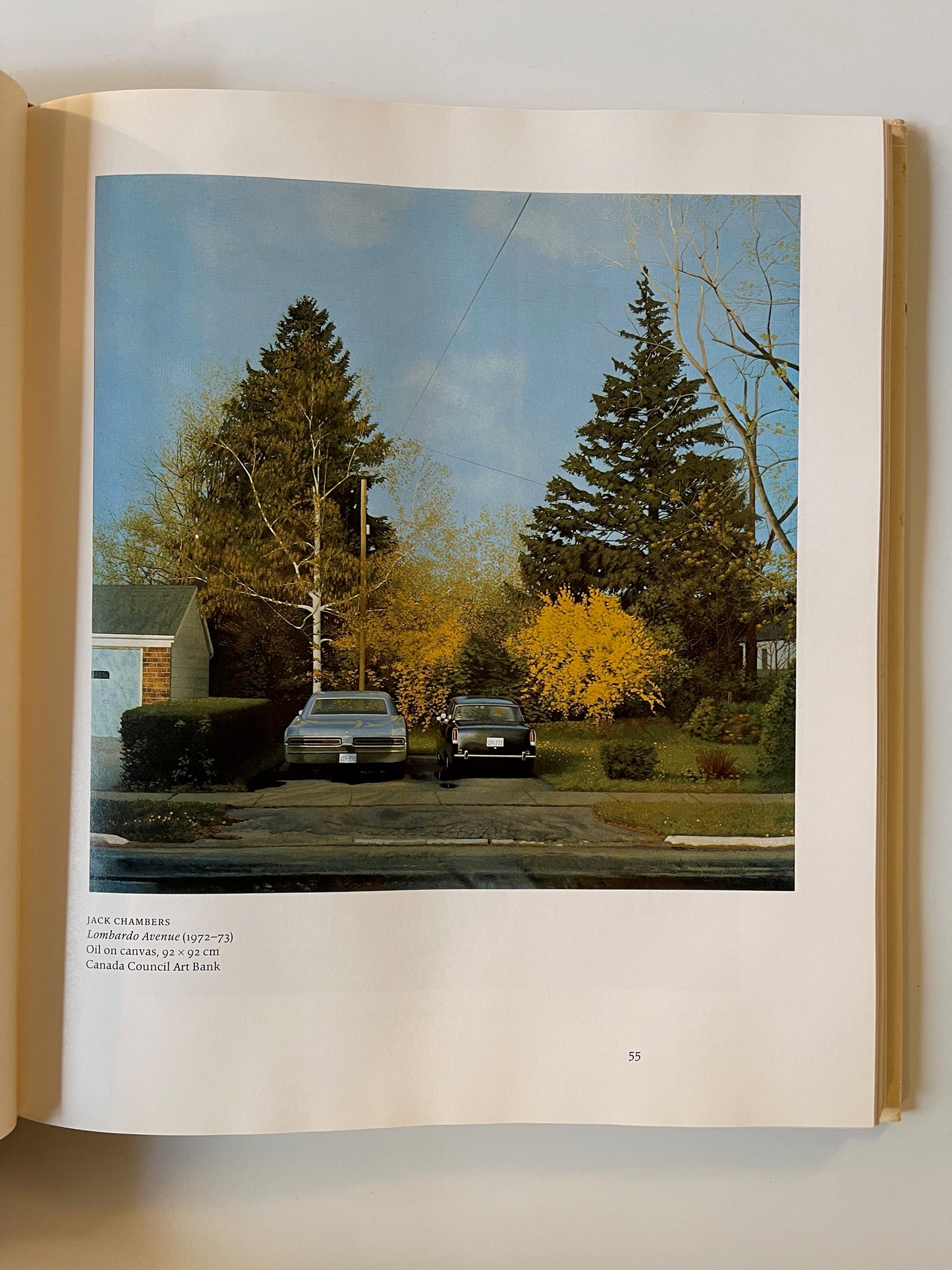 Visions: Contemporary Art in Canada, Edited by Bringhurst, James, Keziere, Shadbolt, 1983