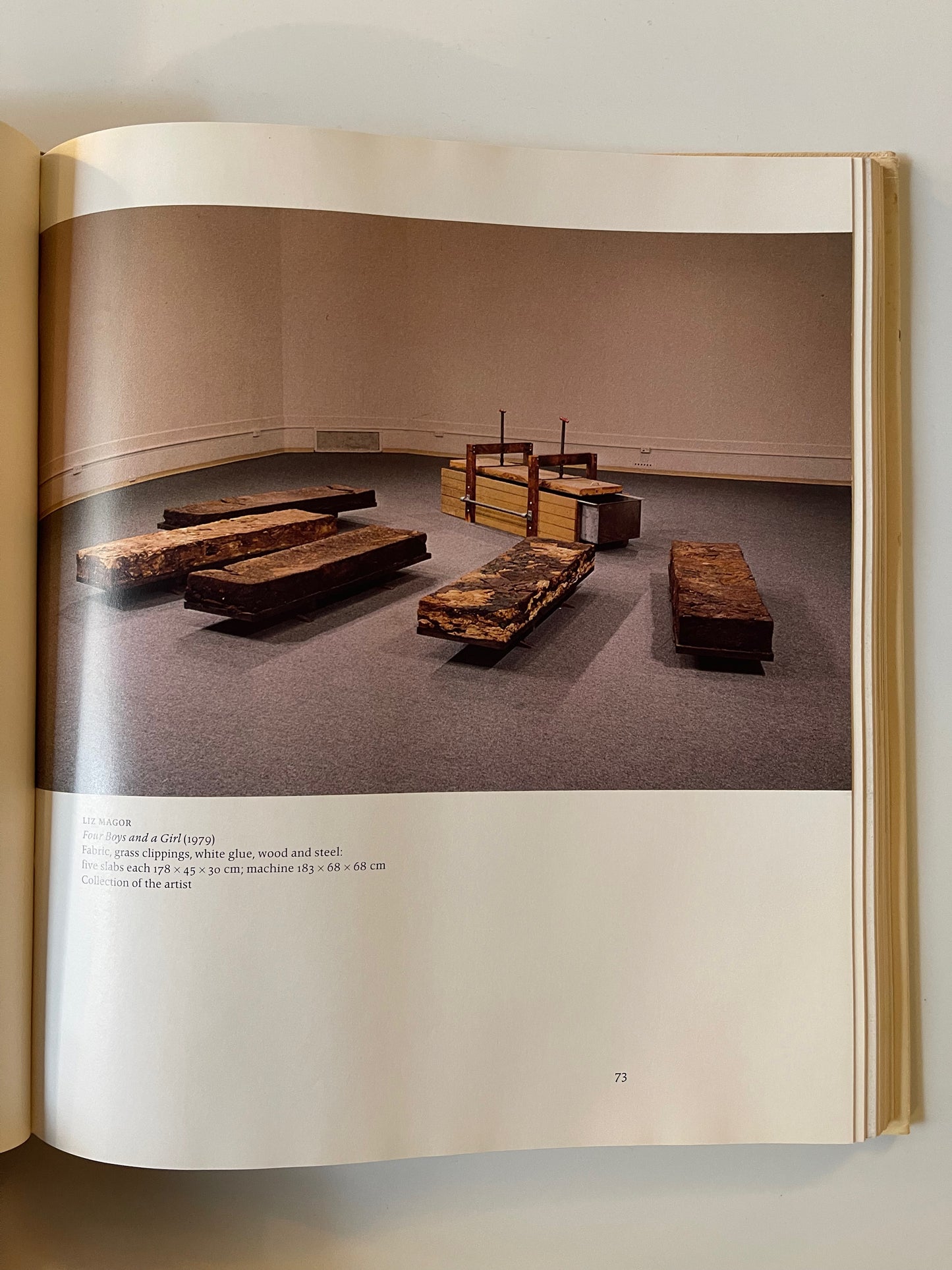 Visions: Contemporary Art in Canada, Edited by Bringhurst, James, Keziere, Shadbolt, 1983