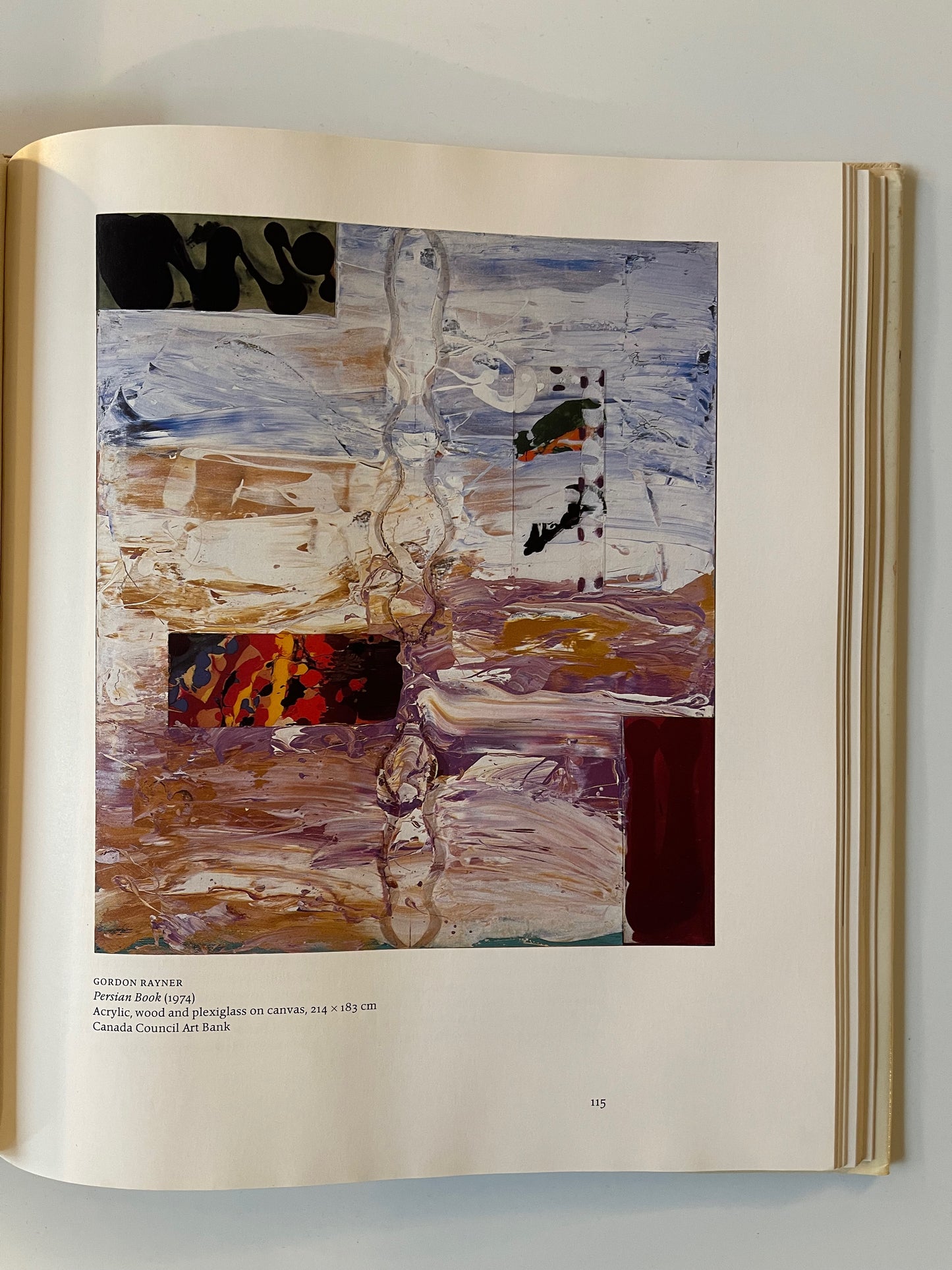 Visions: Contemporary Art in Canada, Edited by Bringhurst, James, Keziere, Shadbolt, 1983