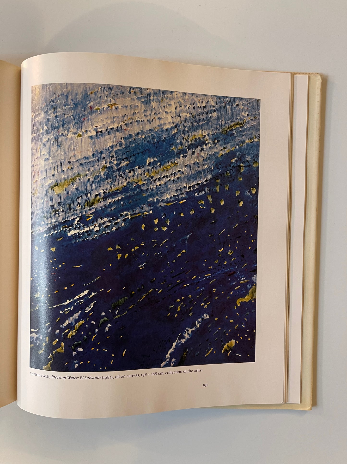 Visions: Contemporary Art in Canada, Edited by Bringhurst, James, Keziere, Shadbolt, 1983